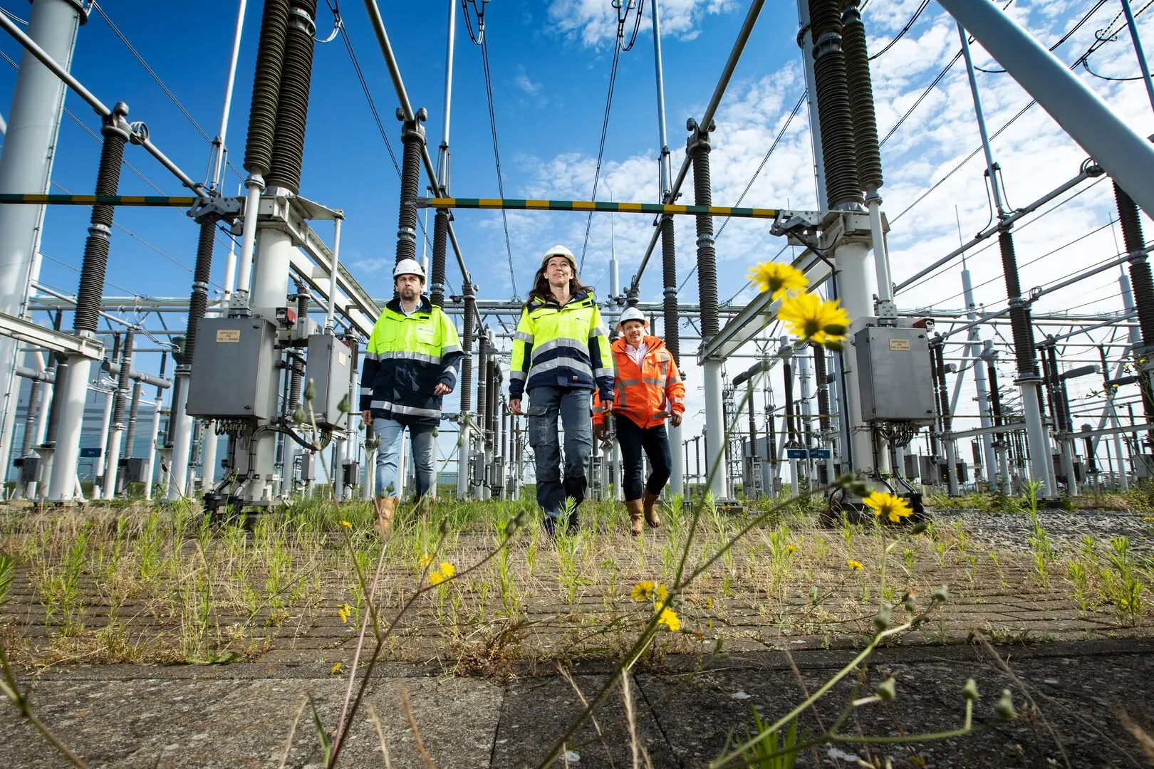 Einsatz von KI zur Rekrutierung von Personal für die Energiewende